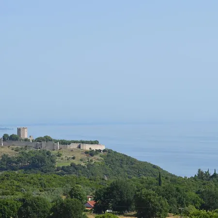 Galanis And