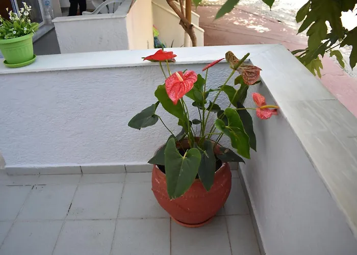 Apartahotel Galanis And