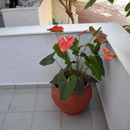 Aparthotel Galanis And